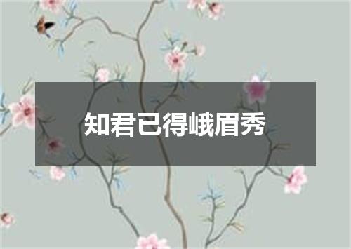 知君已得峨眉秀