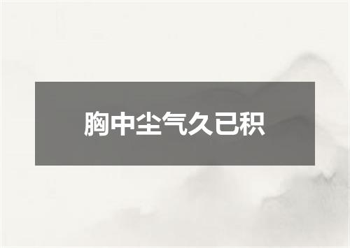 胸中尘气久已积