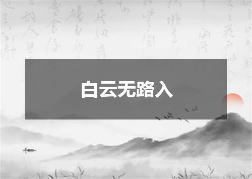 白云无路入