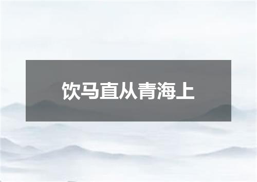 饮马直从青海上