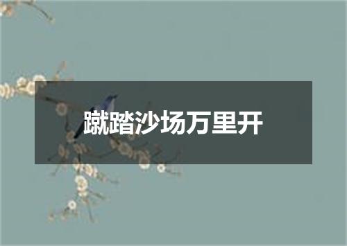 蹴踏沙场万里开