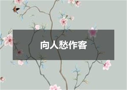 向人愁作客