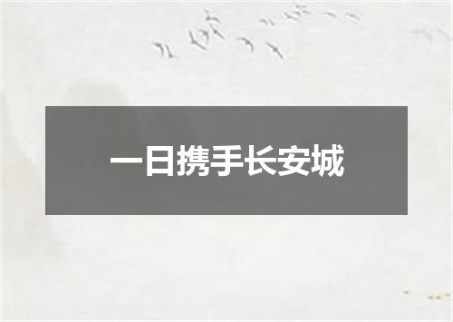 一日携手长安城