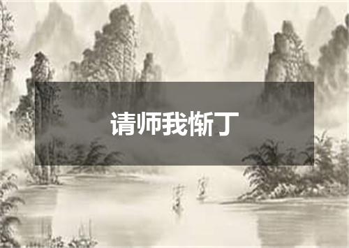 请师我惭丁