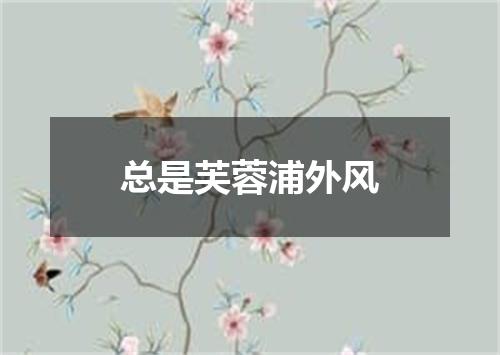 总是芙蓉浦外风