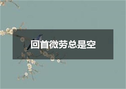 回首微劳总是空