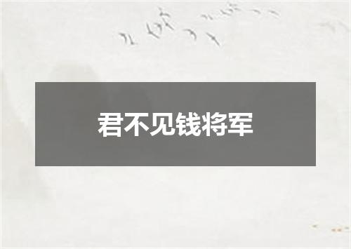 君不见钱将军