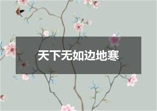 天下无如边地寒