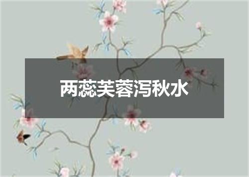 两蕊芙蓉泻秋水