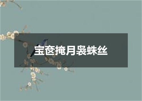 宝奁掩月袅蛛丝