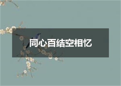 同心百结空相忆