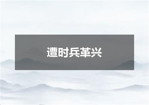 遭时兵革兴