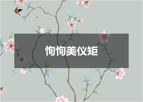 恂恂美仪矩