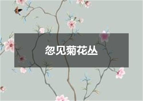 忽见菊花丛