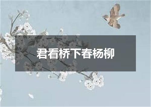 君看桥下春杨柳