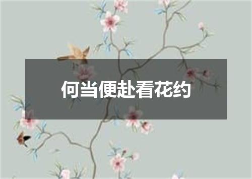 何当便赴看花约