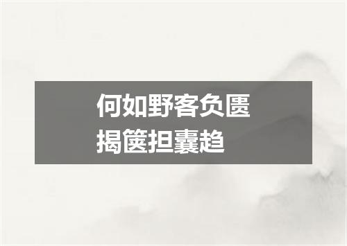 何如野客负匮揭箧担囊趋