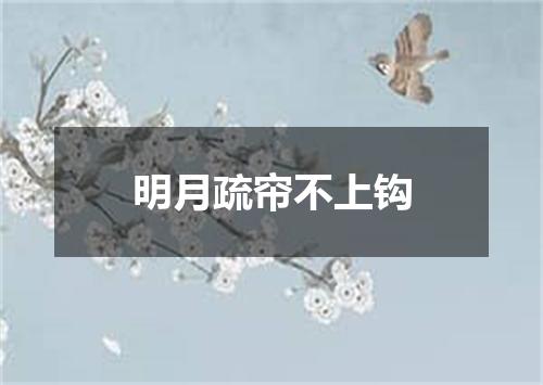 明月疏帘不上钩