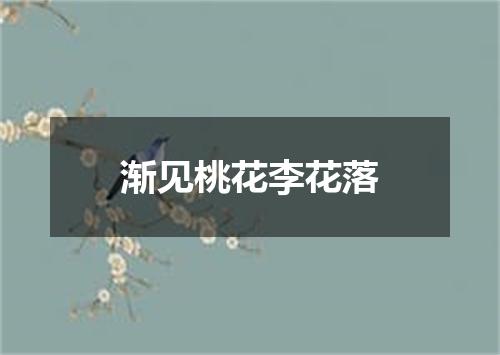 渐见桃花李花落