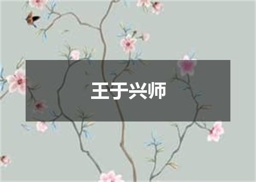 王于兴师