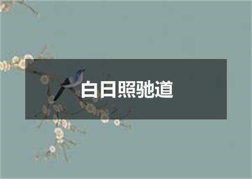 白日照驰道