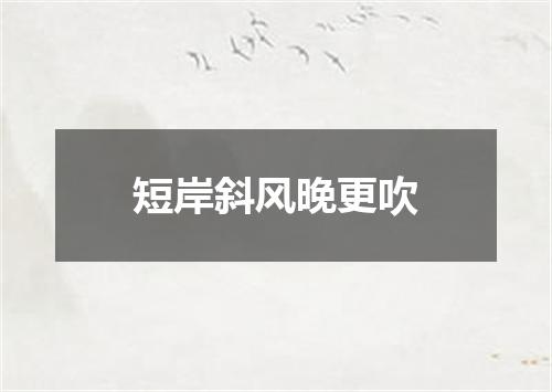 短岸斜风晚更吹