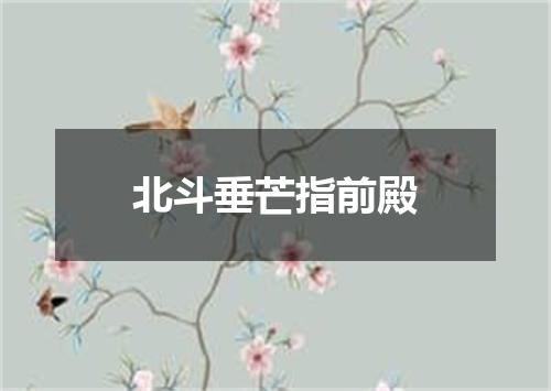 北斗垂芒指前殿