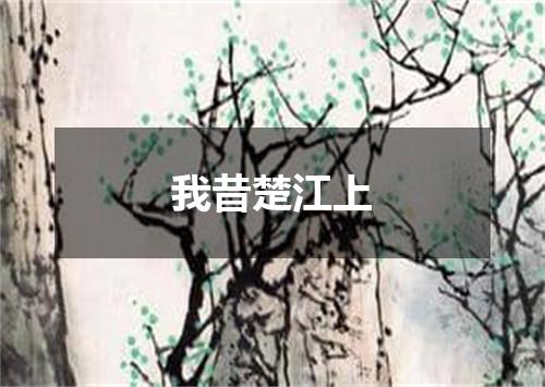 我昔楚江上