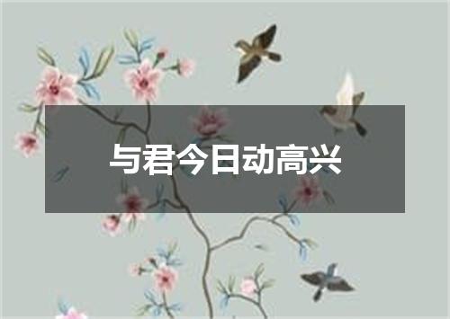 与君今日动高兴