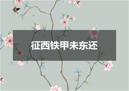 征西铁甲未东还