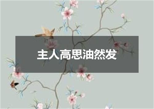 主人高思油然发