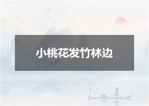 小桃花发竹林边