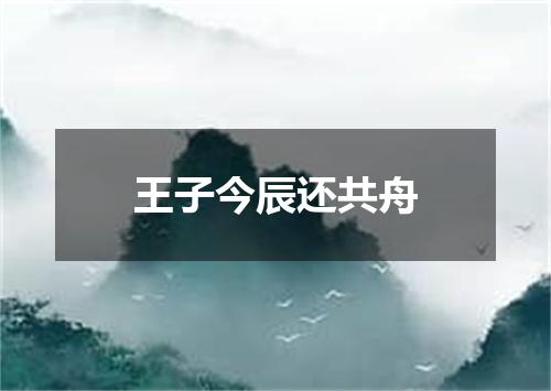 王子今辰还共舟