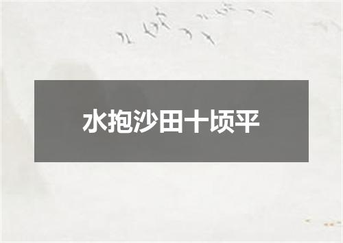 水抱沙田十顷平