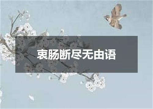 衷肠断尽无由语