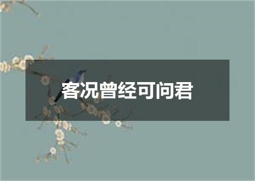 客况曾经可问君