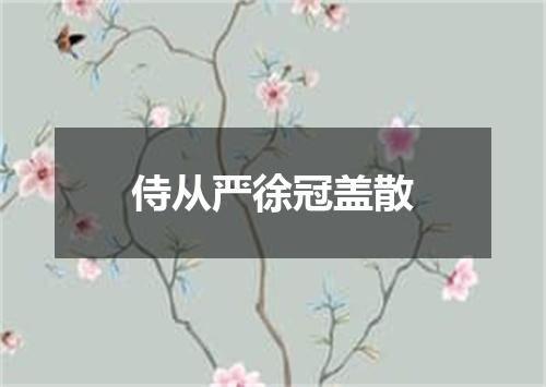 侍从严徐冠盖散