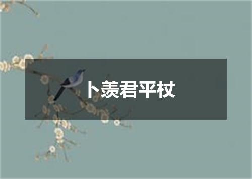 卜羡君平杖