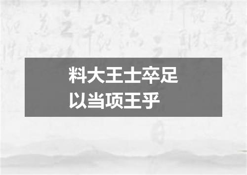 料大王士卒足以当项王乎