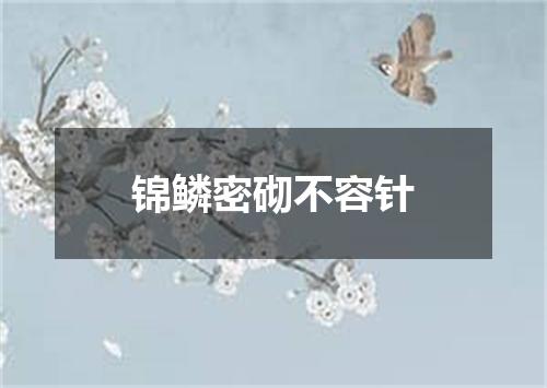 锦鳞密砌不容针