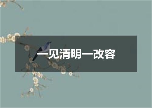 一见清明一改容