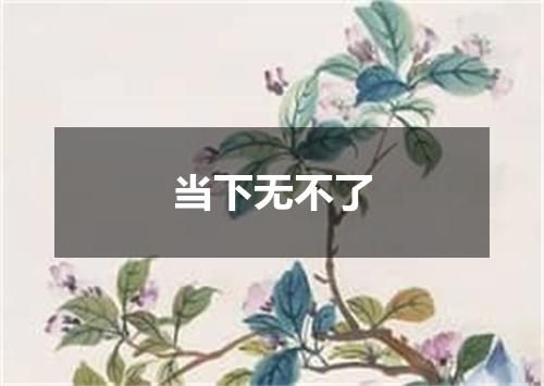 当下无不了