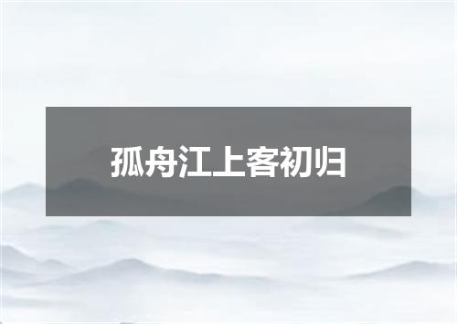 孤舟江上客初归