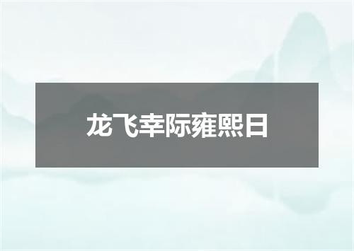 龙飞幸际雍熙日