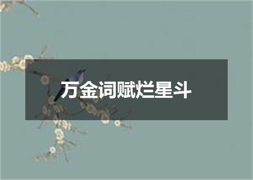 万金词赋烂星斗