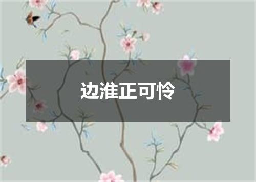 边淮正可怜