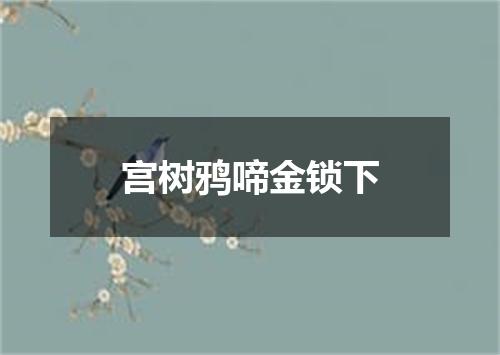 宫树鸦啼金锁下