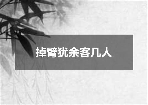 掉臂犹余客几人