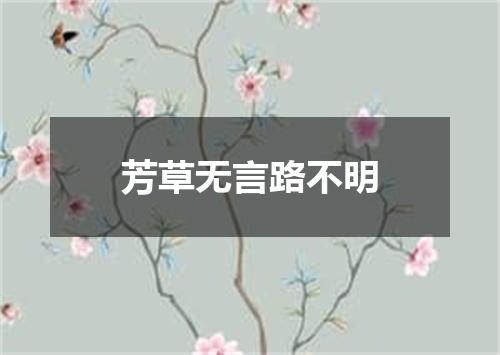 芳草无言路不明