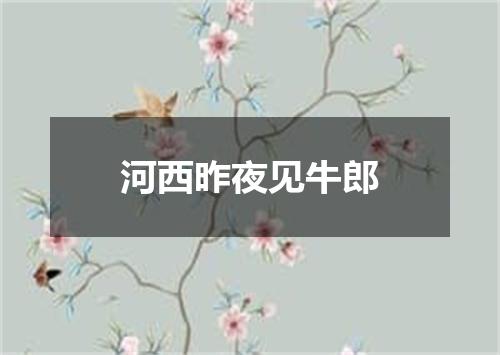 河西昨夜见牛郎